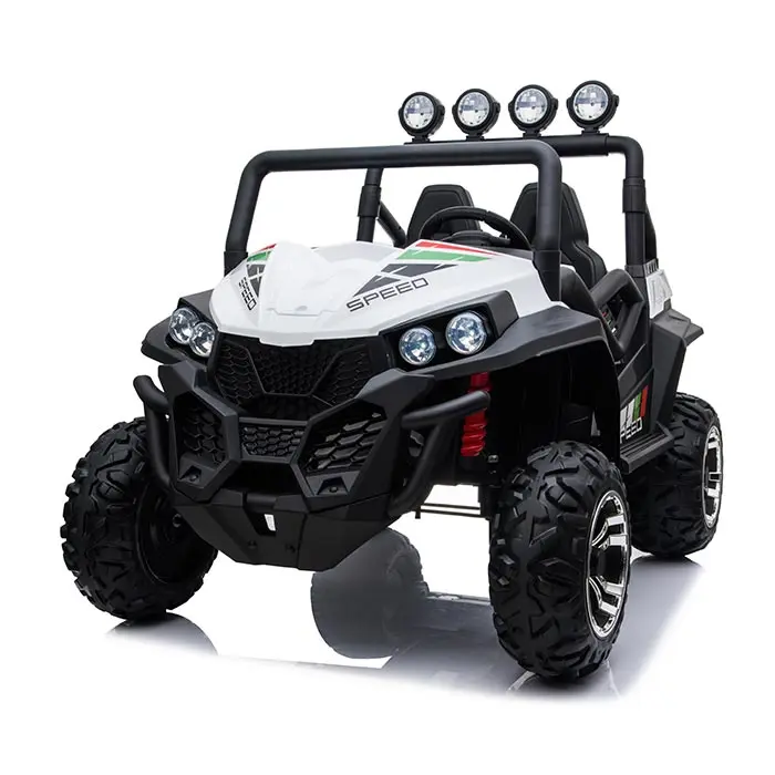 Auto 24V