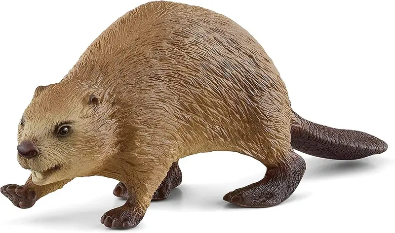 Beaver Schleich