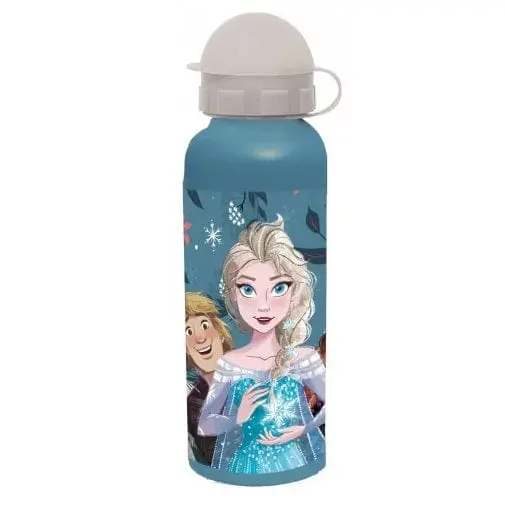 Borraccia in Alluminio Frozen