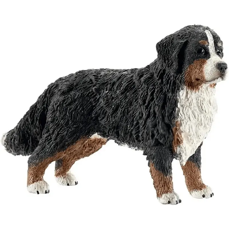 Cane Bovaro Bernese Schelich
