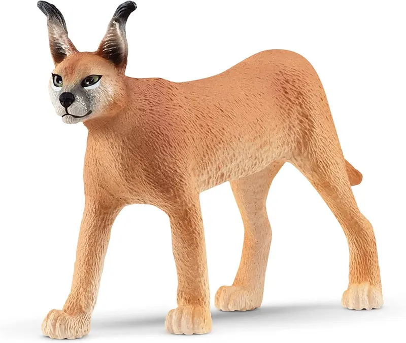 Caracal Femmina Schleich