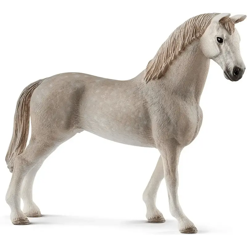 Castrone Holsteiner Schleich