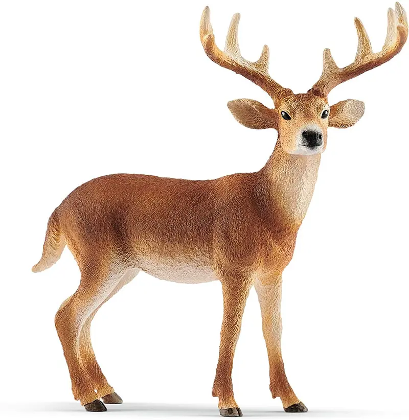 Cervo Virginiano Schleich