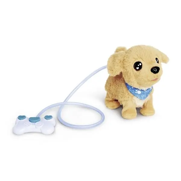 Chi Chi Love Loomy Golden Retriever