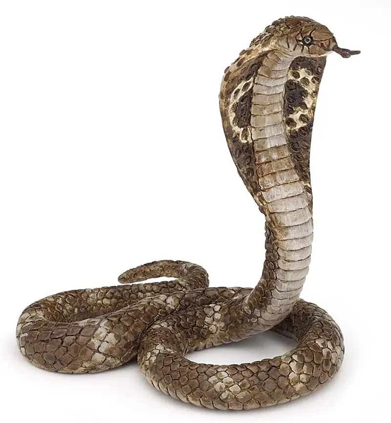 Cobra Reale - Papo - Art. 50164