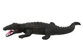 COCCODRILLO CM 56