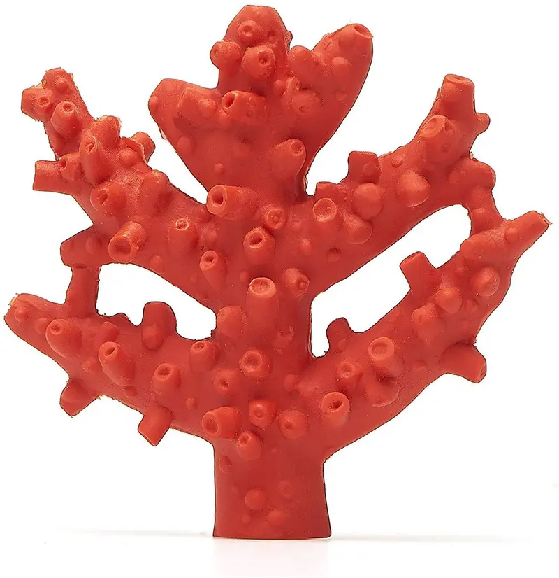 Corallo Rosso Dentizione