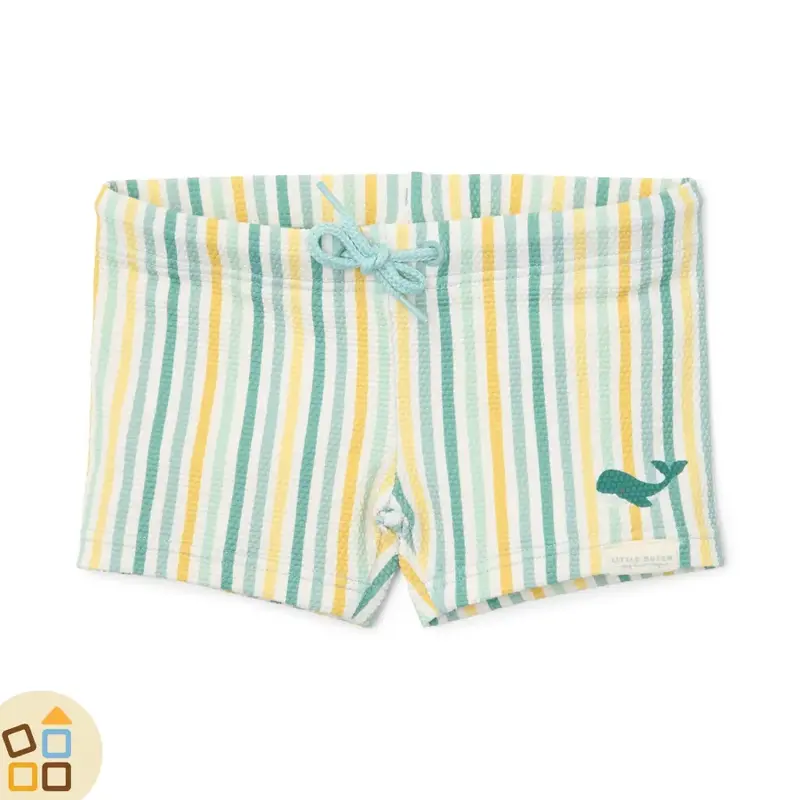 COSTUME SHORTS 2/6 M righe verde