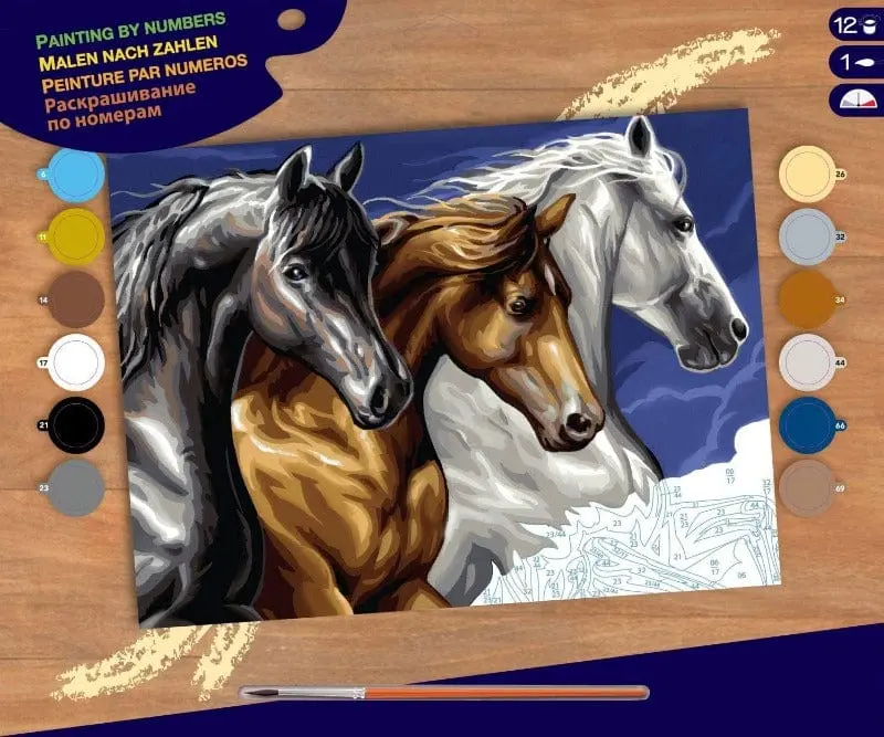 Dipingere con Numeri a tema Cavalli 40x30
