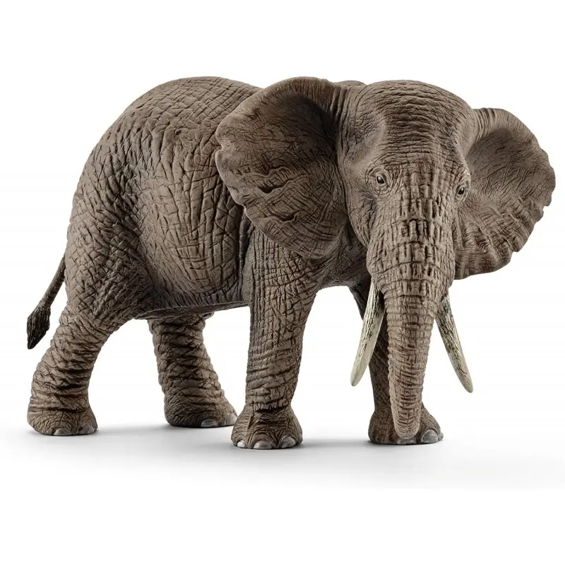 Elefante Africano Femmina - Schleich