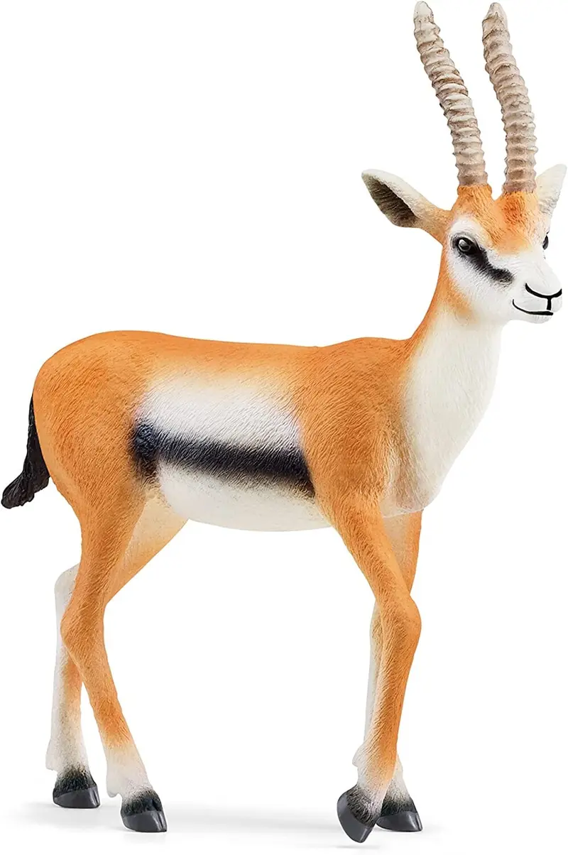 Gazzella Thomson Schleich