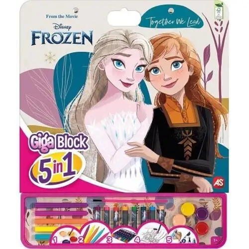 Giga Block Frozen 5 in 1 color set