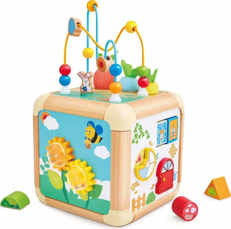Hape Cubo Attività Carota 6 in 1 E0527
