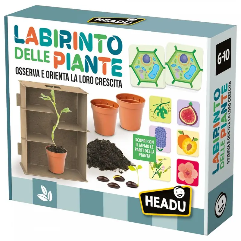 KIT SCIENTIFICO, LABIRINTO DELLE PIANTE