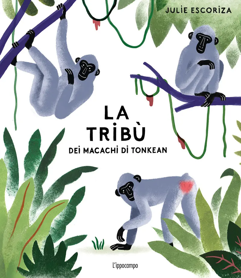 La Tribù Dei Macachi Di Tonkean. Ediz. a Colori