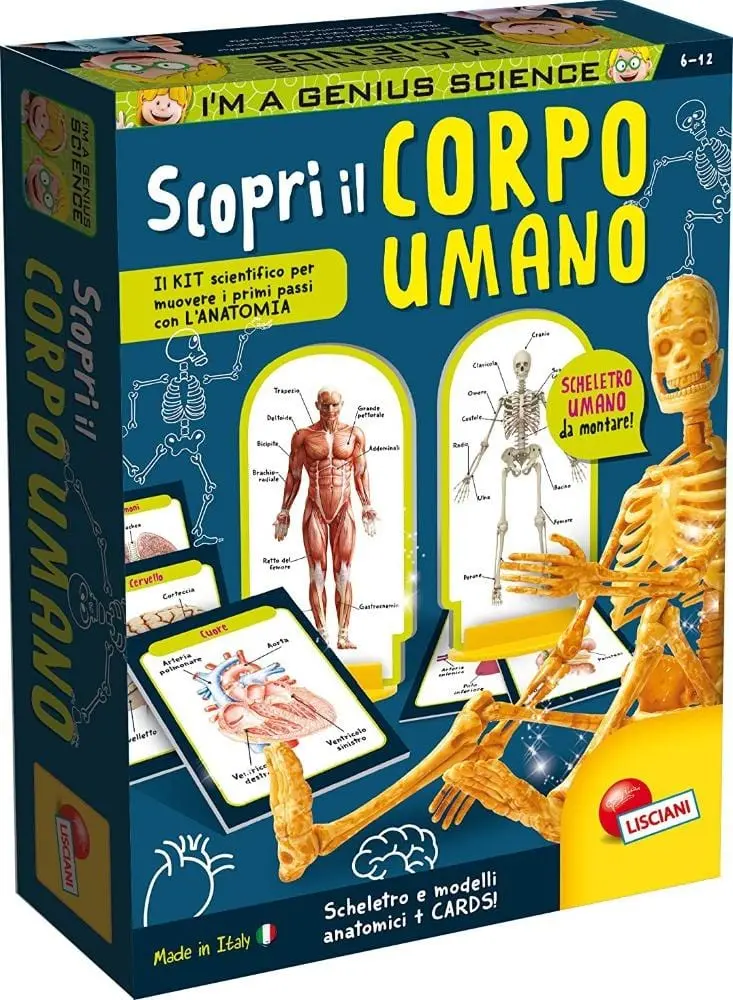 Lisciani Scopri il Corpo Umano
