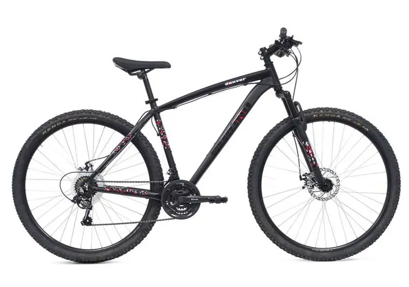 Mountain Bike 29 pollici in Alluminio, Ammortizzata con Freni a Disco, Cambio 21V