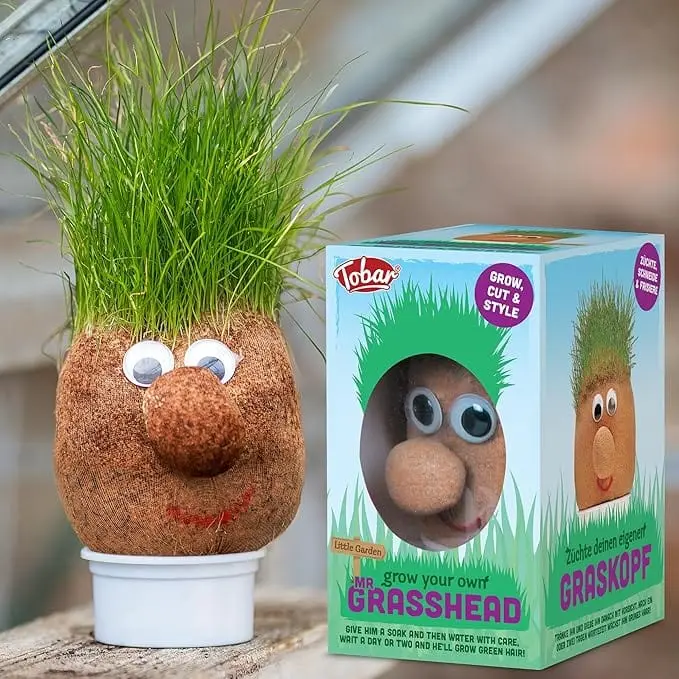 Mr. GrassHead, Pupazzo Pianta con Capelli di Erba Vera - Tobar
