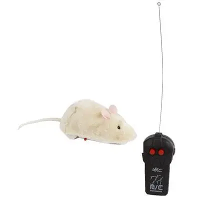 Radiocomando Topo R/c