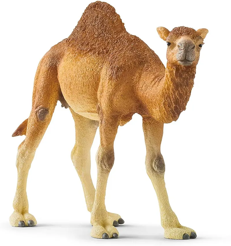 Schleich Dromedario