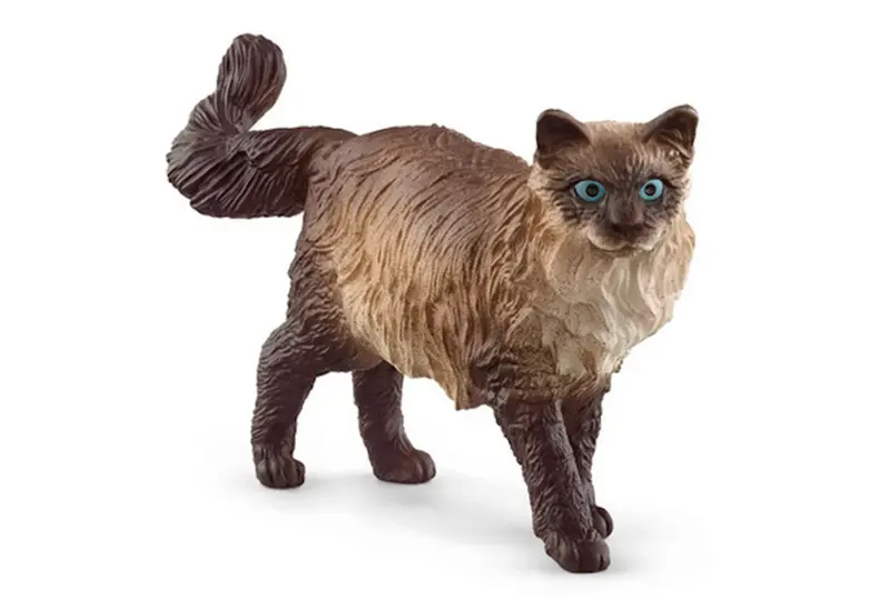 Schleich Gatto Ragdoll