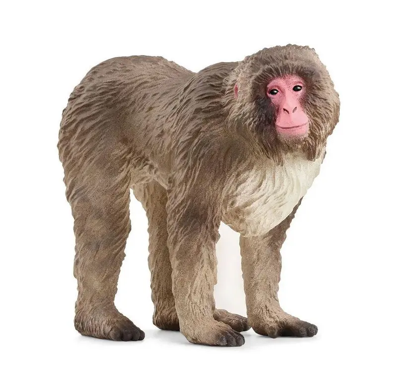 Schleich Macaco Giapponese