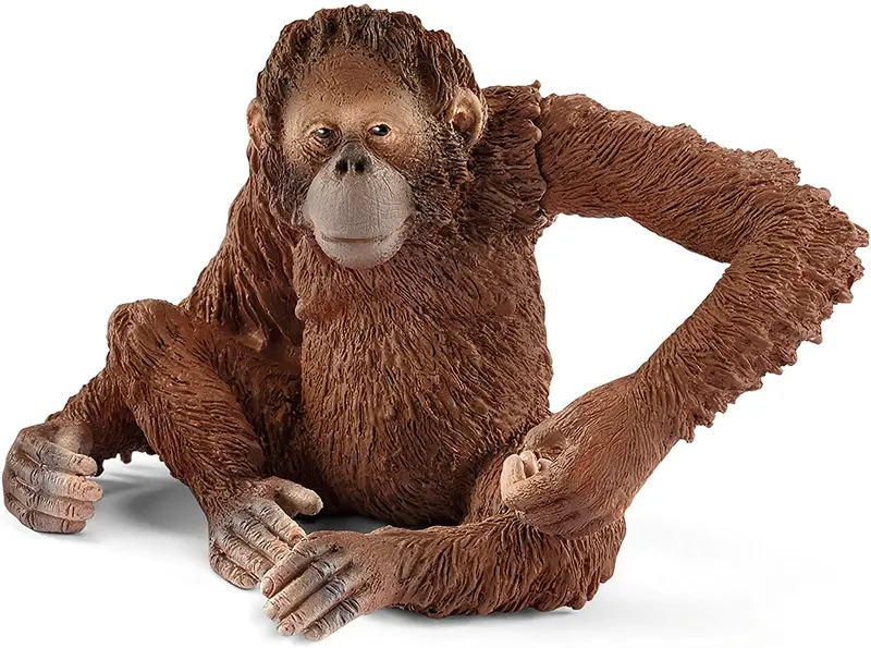 Schleich Orangotango Femmina