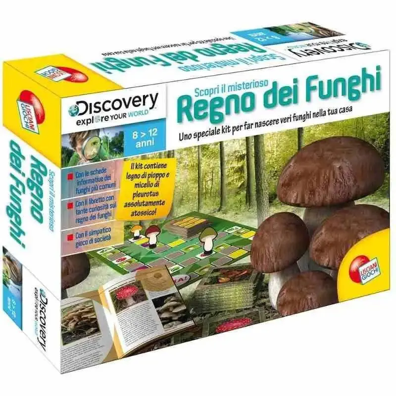 Scopri Il Misterioso Regno dei Funghi