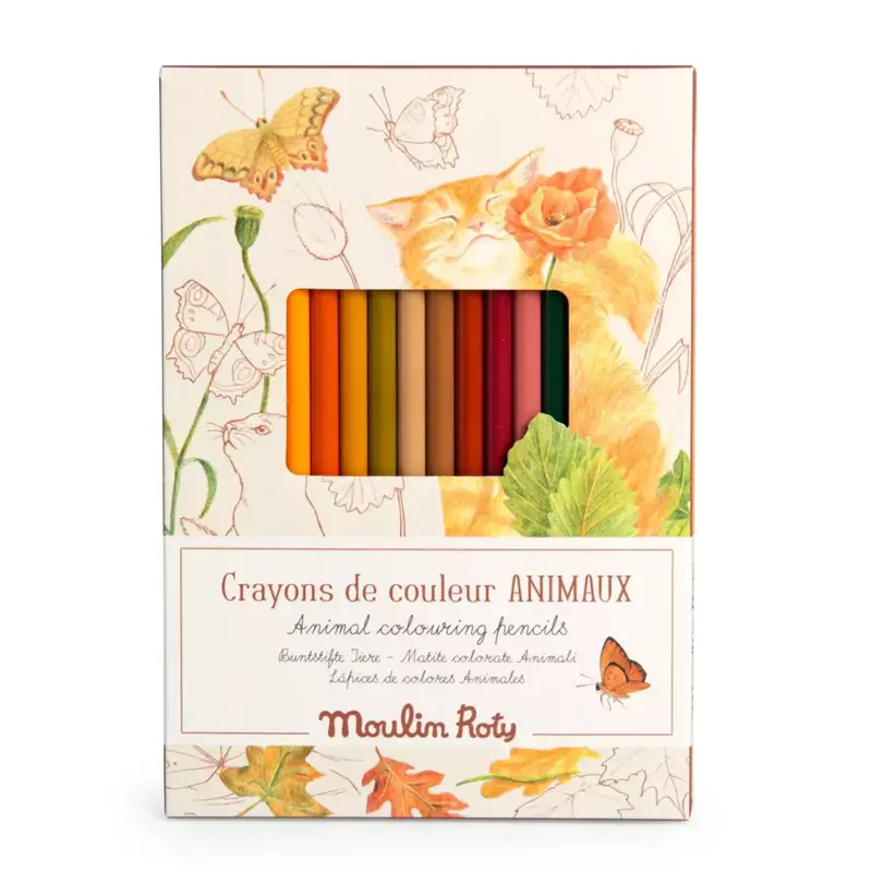 Set 12 Matite Colorate e Schede Moulin Roty