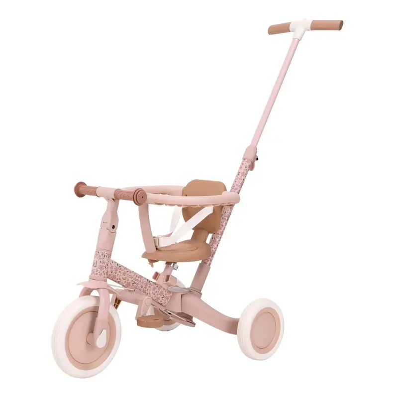 Triciclo 4 in 1 Rosa | Bambini 1-3 Anni (6080.Pink)