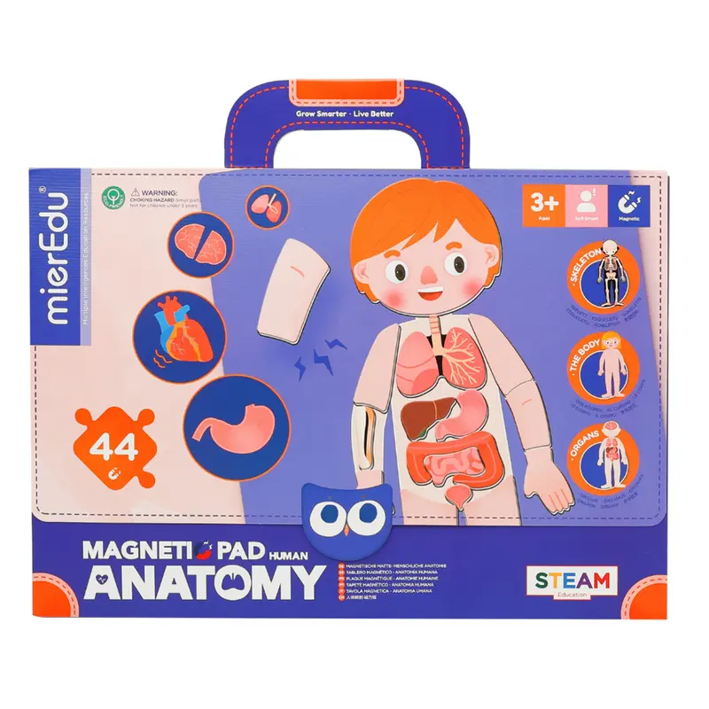 Valigetta Magnetica - Corpo Umano