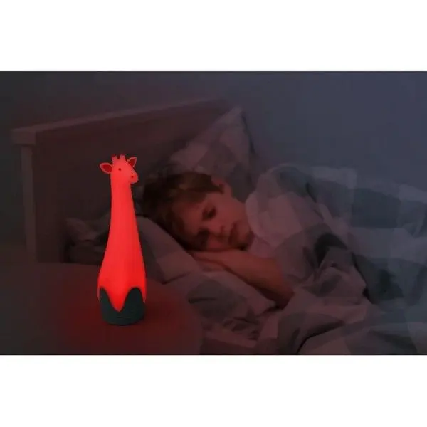 Zazu Gina Torcia E Luce Notturno